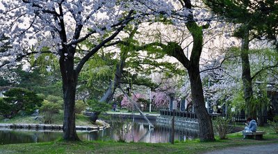 🏞️ 갓포 공원